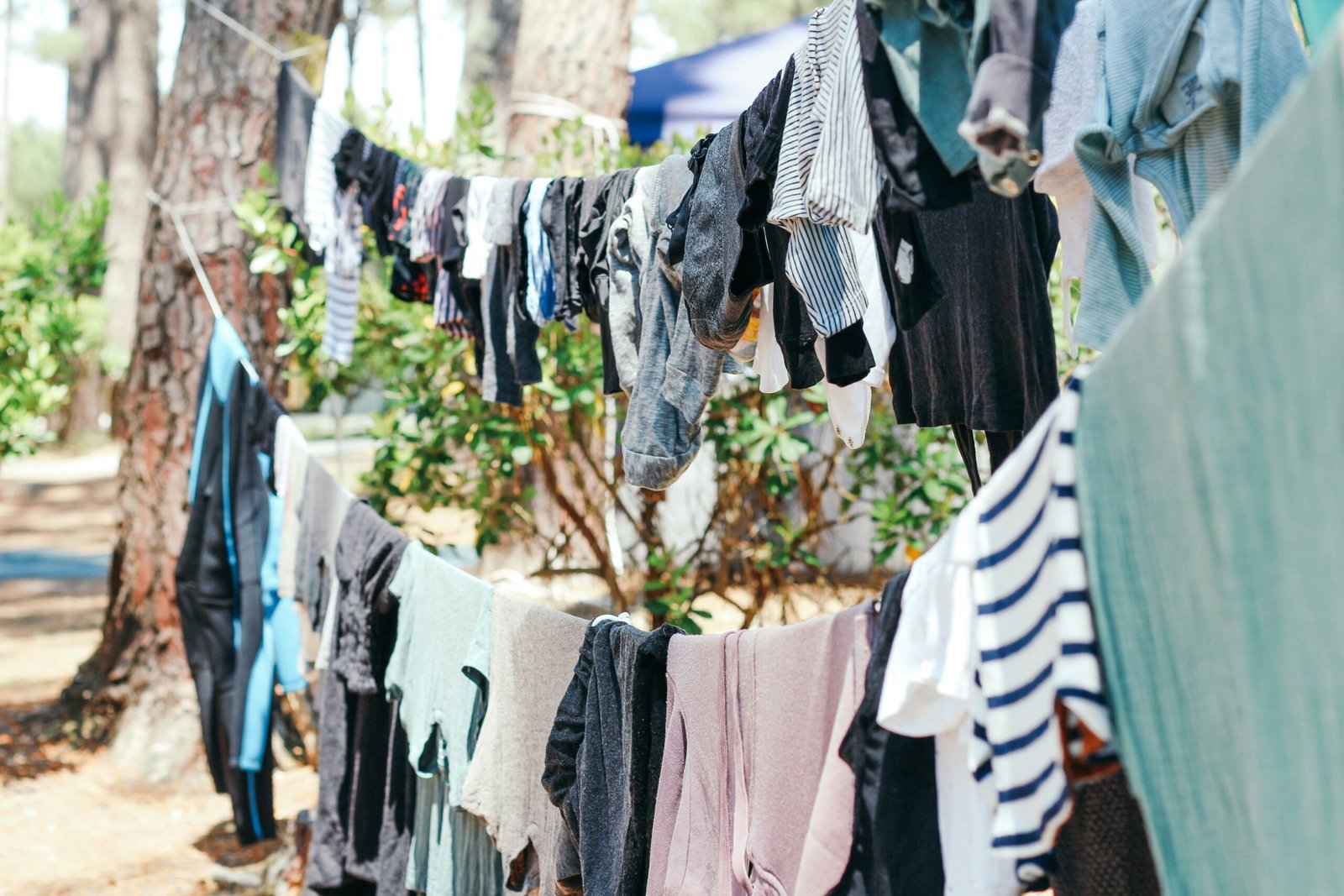 clothes hanged on rope